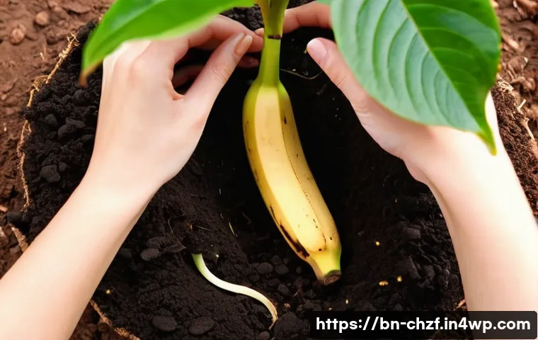 식재료 인생 활용하기  주방에서의 재발견 관련 이미지 2